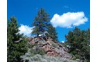 Property photo 35 - Get Lost in the Pristine Northern Colorado Rockies - Prime Building Sites